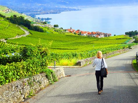 Lavaux Vineyards Switzerlands Beautiful Secret