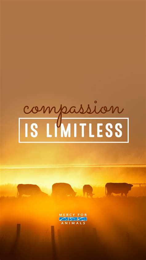 Maybe you would like to learn more about one of these? These 11 Free Vegan iPhone Wallpapers Will Inspire You ...