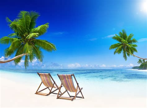 Tropical Paradise Beach Coast Sea Blue Emerald Ocean Palm