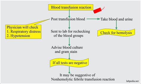 Blood Banking Part 4 Blood Transfusion Reactions In Donor And
