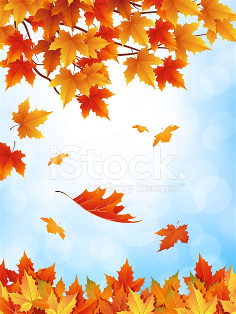 Autumn Leaves Falling With Blue Sky Stock Photo Royalty Free Freeimages
