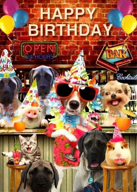 Pin By Zippelline On Happy Birthday Happy Birthday Dog Happy