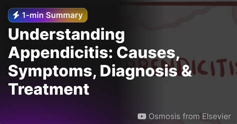 Understanding Appendicitis Causes Symptoms Diagnosis And Treatment