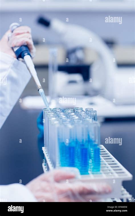 Science Student Using Pipette In The Lab To Fill Test Tubes Stock Photo