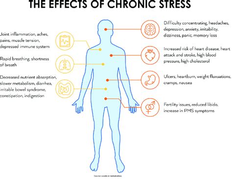 The Effects Of Chronic Stress According To Mcewen 2006 Download
