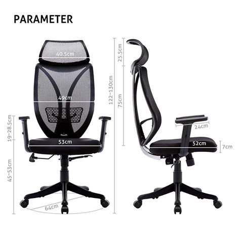 Duramont Ergonomic Adjustable Office Chair With Lumbar Support
