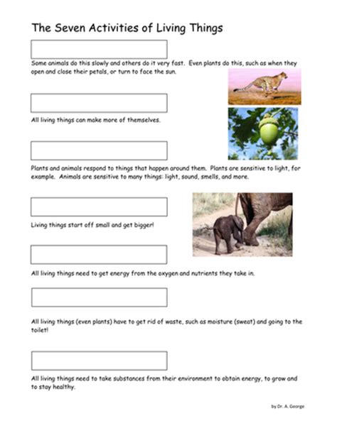 Seven Characteristics Of Living Things Ws Ks3 By Pand Teaching
