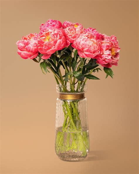 Pink Peonies In Glass Vase Free Photo Rawpixel