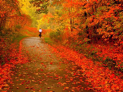 HD Wallpapers: Autumn Pictures