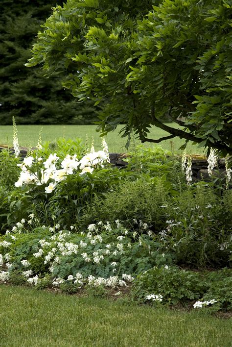 White Garden In Bloom Сад Огород Цветники