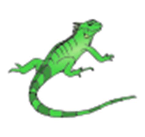 Iguana Outline for Classroom / Therapy Use - Great Iguana ...