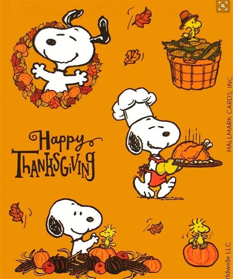 Download Peanuts Thanksgiving Postcard Wallpaper