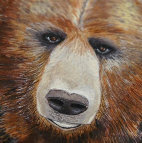 Art Print Grizzly Bear Signed By Artist 4 Sizes Etsy