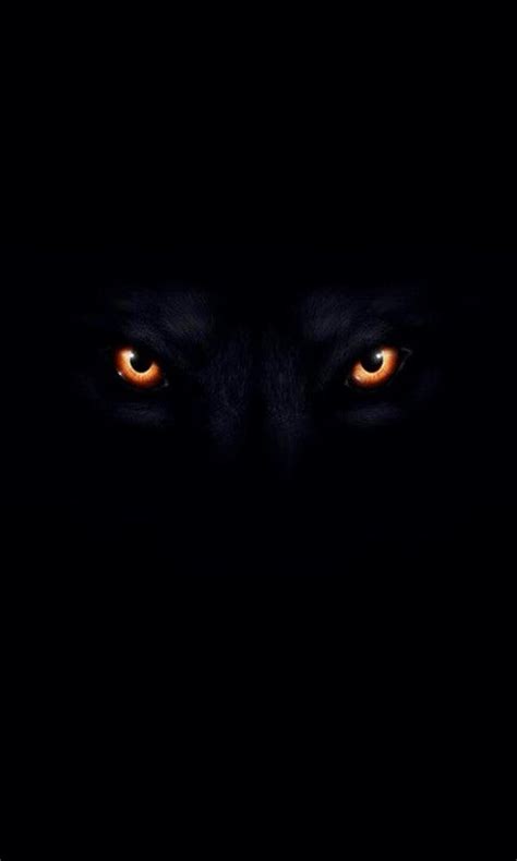 Pin By Huska 007 On Places To Visit Wolf Eyes Wolf Wallpaper Scary Eyes