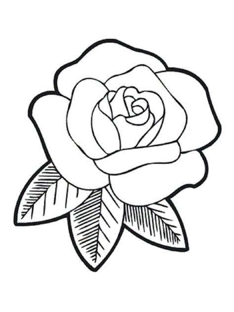 Rose Coloring Pages Flower Coloring Pages Flower Drawing My XXX Hot Girl