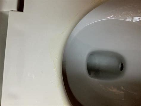 Urine Stains On Toilet Picture Of Quality Inn Lexington Tripadvisor