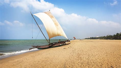 Your Ultimate Negombo Beaches Guide To Explore The Best Of Sri Lankan