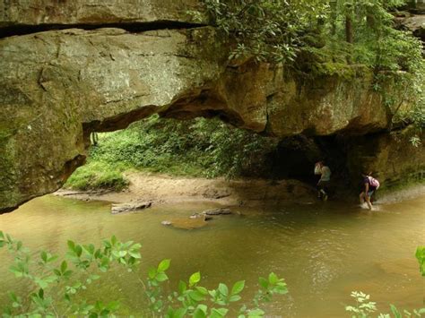 The Kentucky Hike That Leads You To The Most Unforgettable Destination