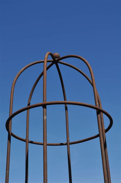 Maybe you would like to learn more about one of these? Tall iron plant support - B Southgate