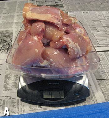 Ground rabbit (meat, bones, and liver): Recipe: Feline Nutrition's Easy Raw Cat Food - Feline ...