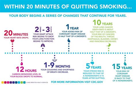 Jika anda berniat menghentikan kebiasaan buruk ini, tapi hal penting yang perlu diingat, berhenti merokok adalah proses yang perlu dijalani secara bertahap dan membutuhkan tekad, komitmen, dan kesabaran. Tips Mengawal Penyakit Paru-Paru Kronik Akibat Merokok ...