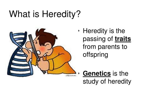 Ppt Introduction To Heredity Powerpoint Presentation Free Download