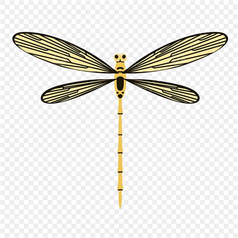 Beautiful Yellow Dragonfly Illustration Yellow Insect Dragonfly Png