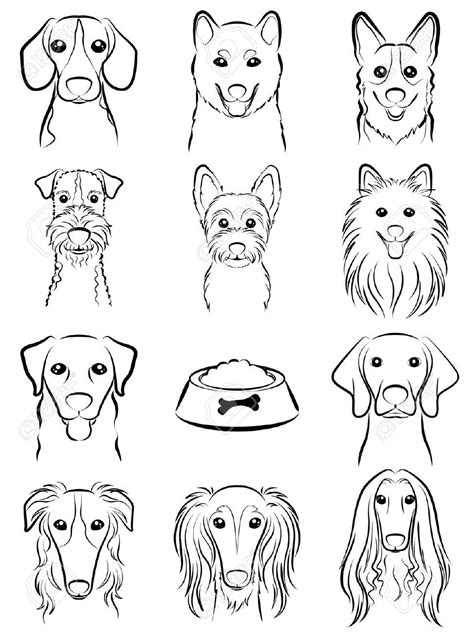 Dog Line Drawing Royalty Free Cliparts Vectors And Stock