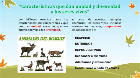 Exercícios Características Dos Seres Vivos