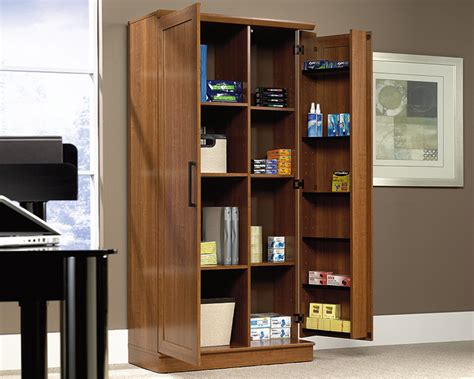 Sauder Homeplus Storage Cabinet 411965 Sienna Oak