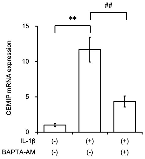 ijms free full text induction of cemip in chondrocytes by inflammatory cytokines underlying