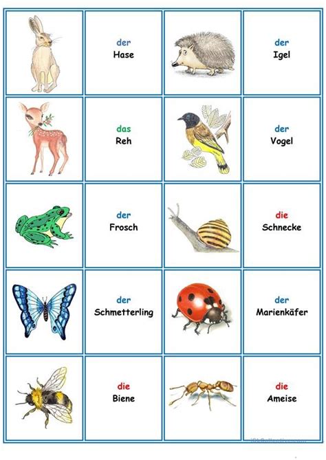 Verbinde bilder mit texten, um das große bild darunter zu blumenbilder pexels kostenlose stock fotos. Spiele im Deutschunterricht: Memory - die Tiere | Deutsch ...