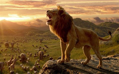 The Lion King 4k Background And Chrome Themes Lovelytab