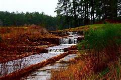 Your Gateway To Adventure Homes Near Angelina National Forest In Lufkin Tx