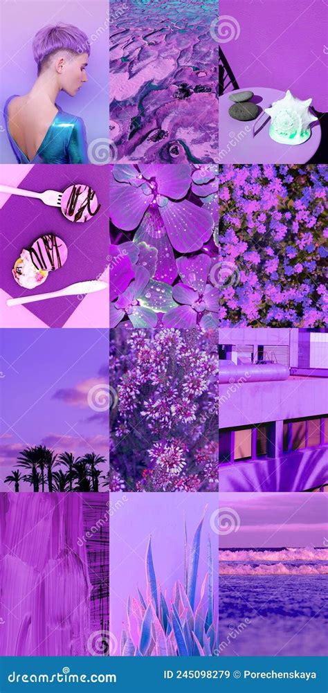 Set Of Trendy Aesthetic Photo Collages Minimalistic Images Of One Top