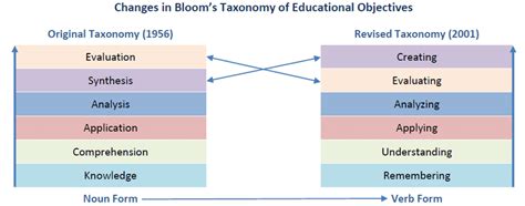 Taxonomia Lui Bloom Revizuită Download Scientific Diagram