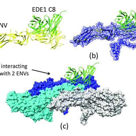 Figure A1 A Incomplete Crystal Structures Of Ebola Virus