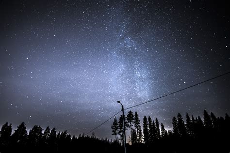 Images Gratuites Arbre La Nature Ciel Nuit étoile Voie Lactée