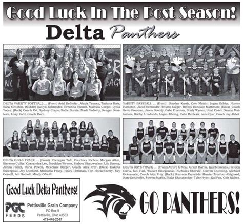 Good Luck Delta Panther Spring Sports Teams The Village Reporter