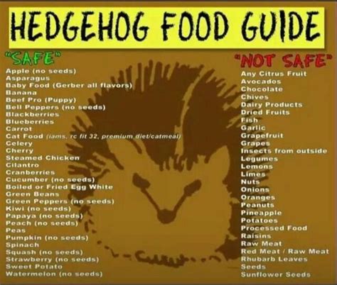 Comes from the arabic word meaning chickpea, hummus is a dip or spread that is made of cooked, mashed chickpeas. Hedgehog food, Hedgehog pet, Hedgehog