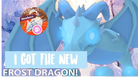 No downloads codes for adopt me to get free frost dragon 2021; ️I Got The NEW Frost Dragon! ️ (Roblox Adopt Me!) - YouTube