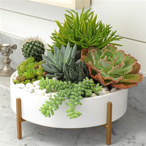 Joda 10 Inch Mid Century Round Succulent Planter With Stand White