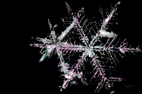 How To Photograph Snowflakes With A Dslr