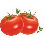 Tomato Without Tomatoes Clipart Salad Soup Fruit