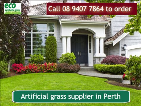 This tree is a particularly vigorous grower for a grass tree. Artificial grass supplier Perth | Eco Synthetic Grass