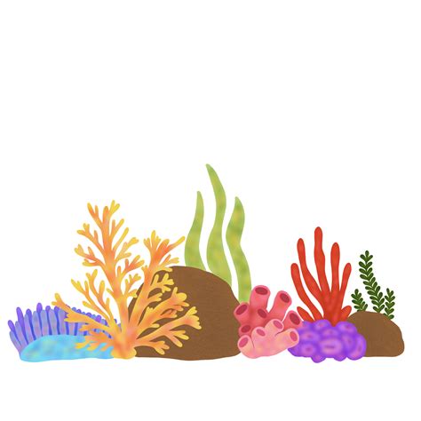 Coral Reef Composition Png Transparent Image