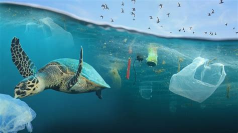 Akzeptiert Bedeutung Kleid Verschmutzung Der Meere Durch Plastik Zahlen Und Fakten Wort Slum Kantine