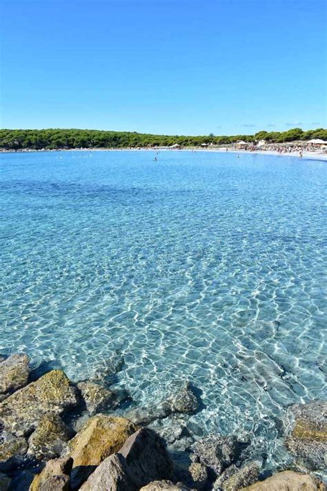 We did not find results for: Porto Pino e le dune di Is Arenas Biancas come ...