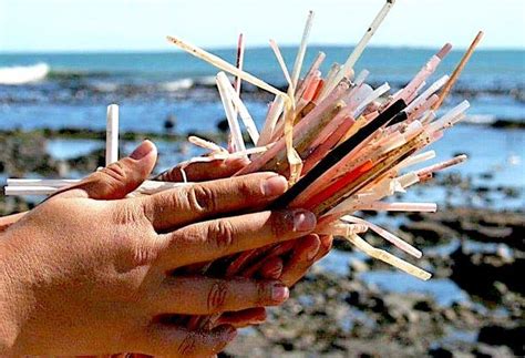State Passes Restrictions On Plastic Straws Citing