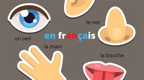 15 French Idioms Featuring Parts Of The Body Complete France